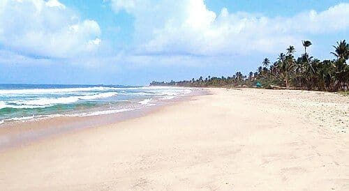 Discover the beautiful golden escape of Thiranagama Beach